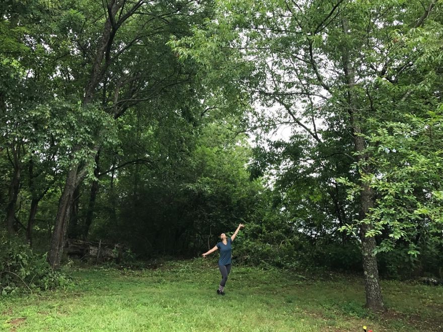 Удивительная оранжерея из старых окон - фото 3