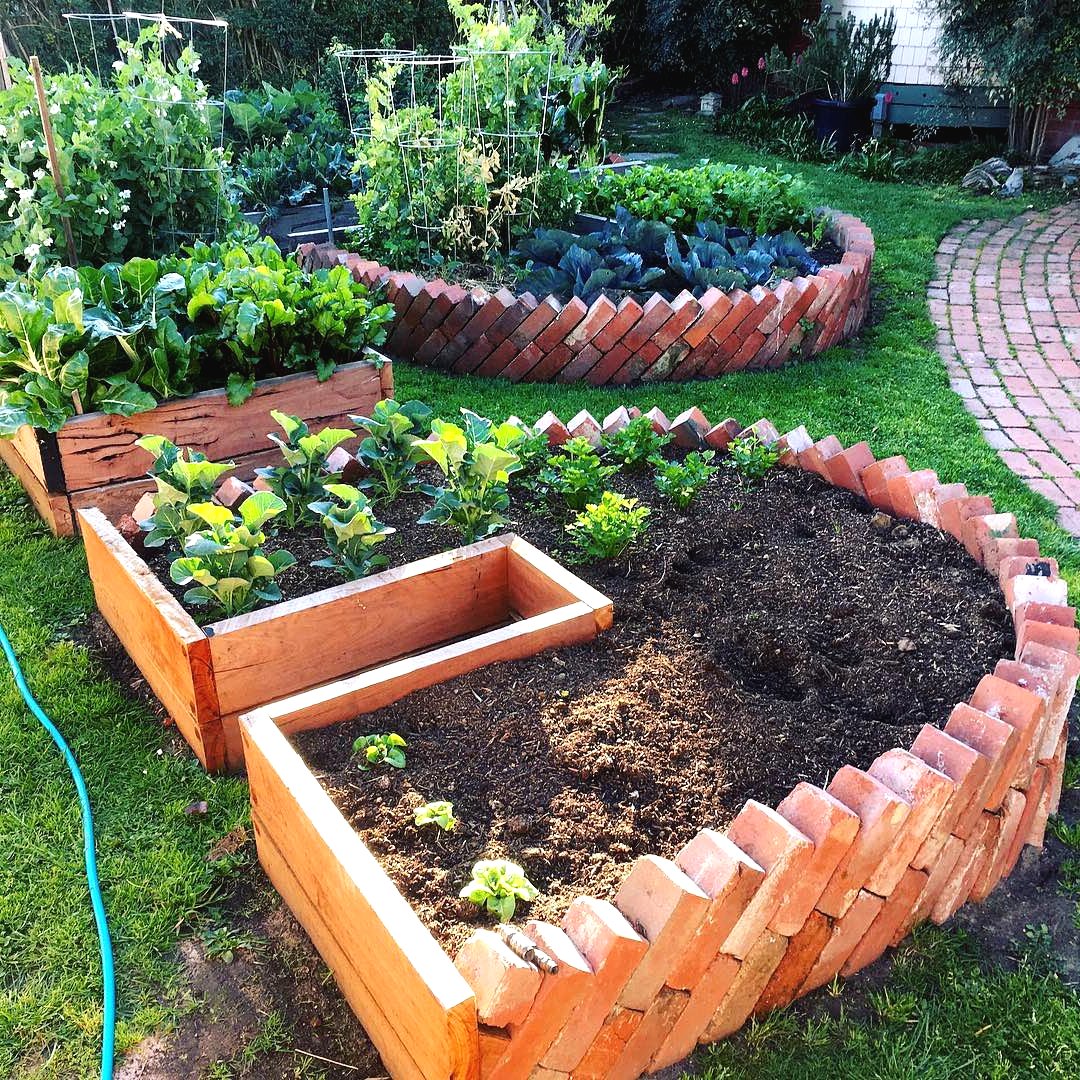 Грядка из кирпичей своими руками - фото 6
