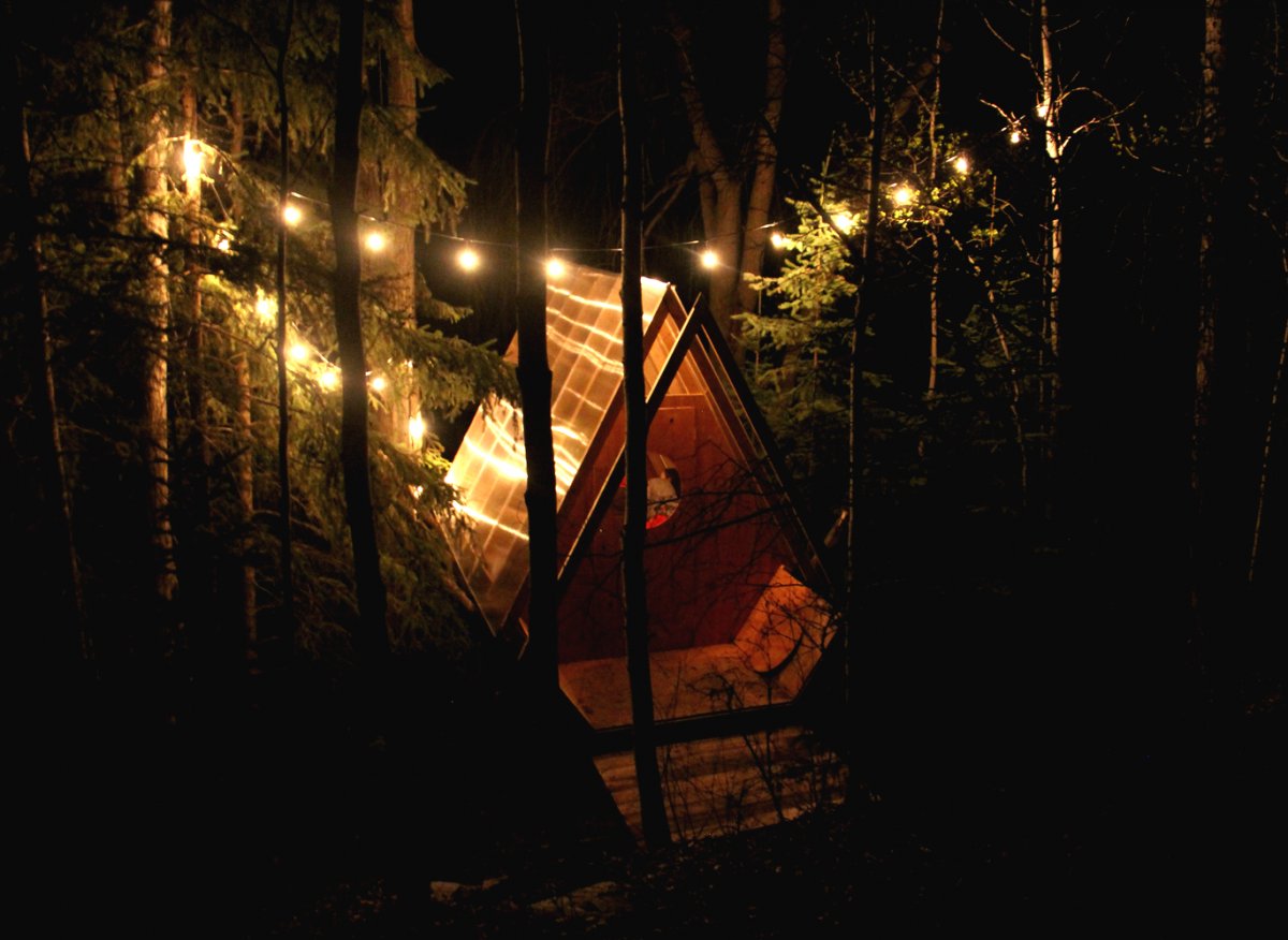 Необычный лесной домик - фото 11