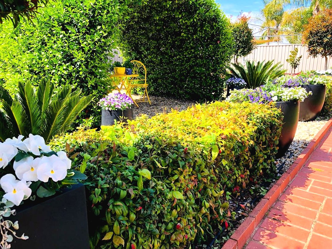 Беседка из вьющихся растений - фото 6