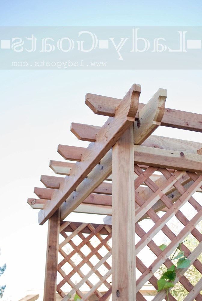 Беседка - фото 2