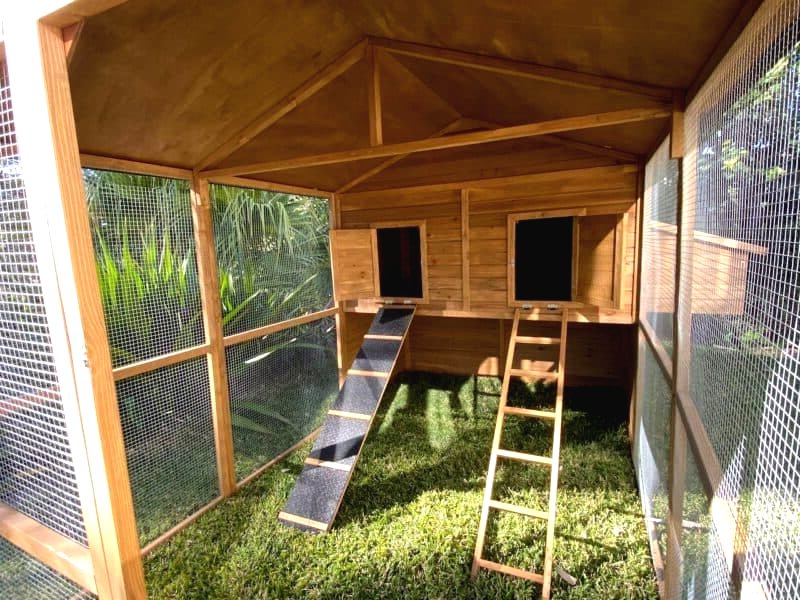 Курятник своими руками на 10 кур с выгулом - фото 17