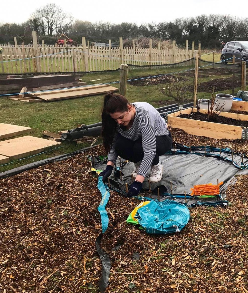 Сезонная грядка - фото 2