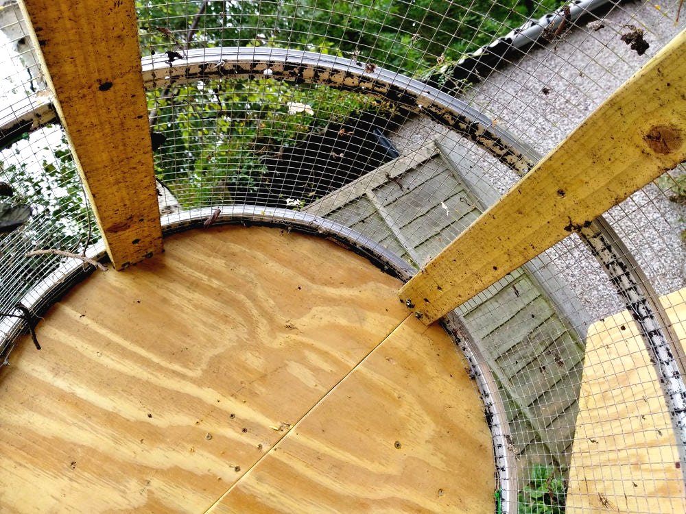 Борьба с сорняком на огороде - фото 15