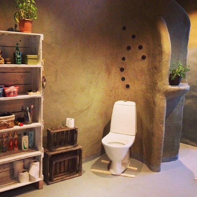 Дом под геодезическим куполом - фото 11