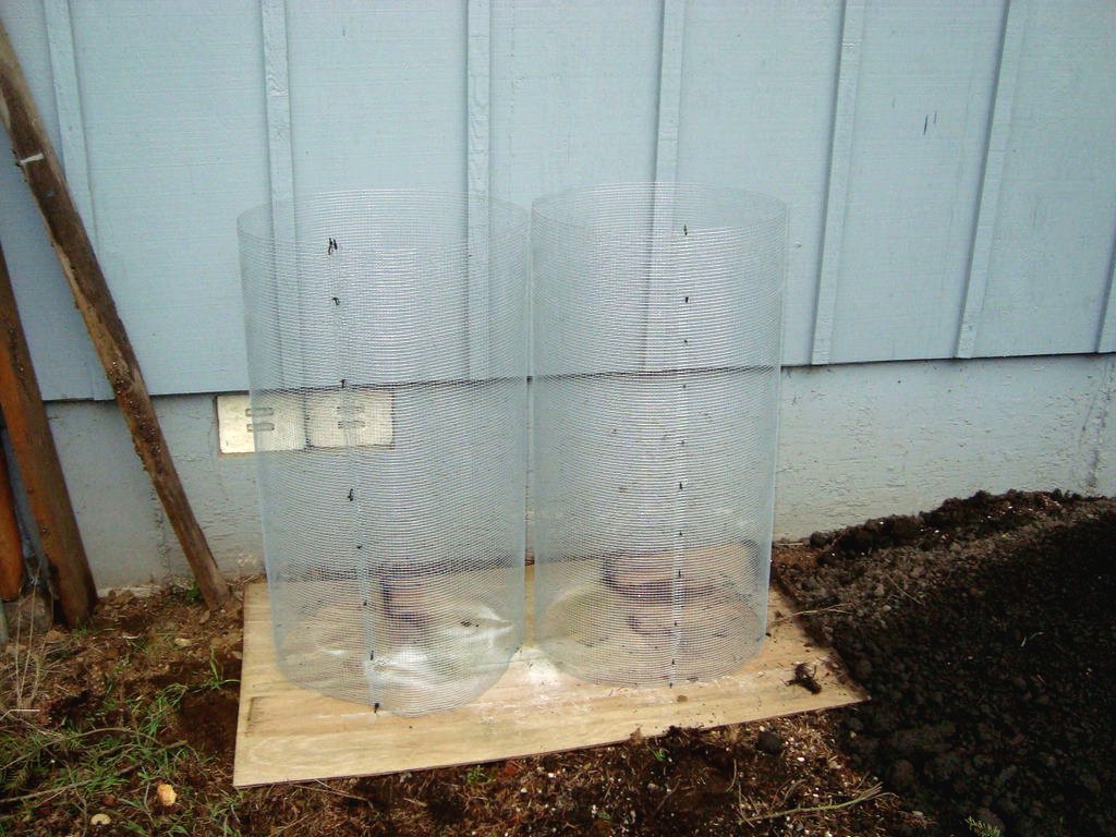 Выращиваем картофель в сетке - фото 2