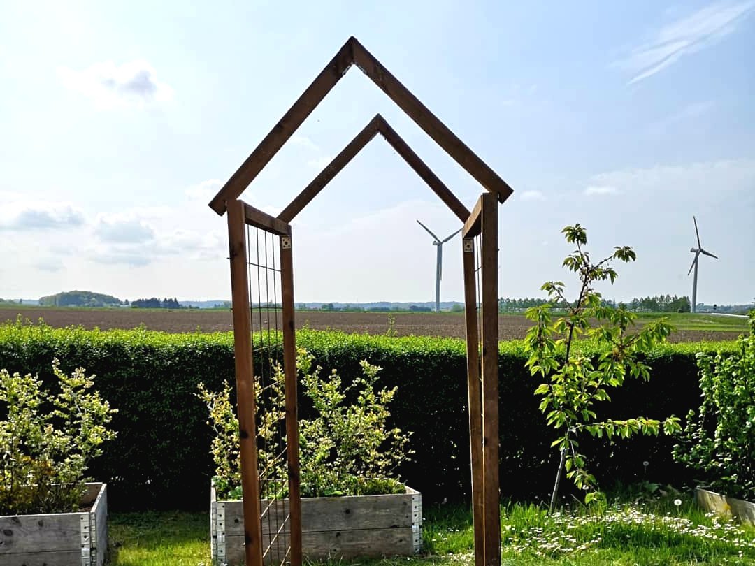 Интересное расположение грядок на участке - фото 4