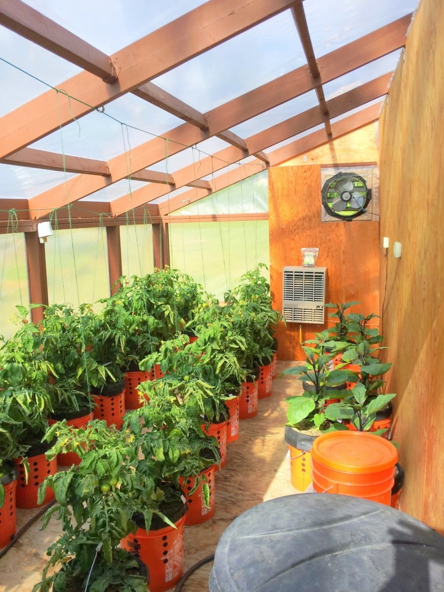 Контейнерное выращивание овощей с автоматической системой полива - фото 6