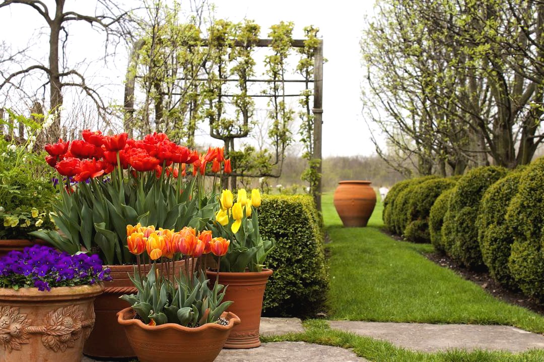 Оригинальная арка - фото 3