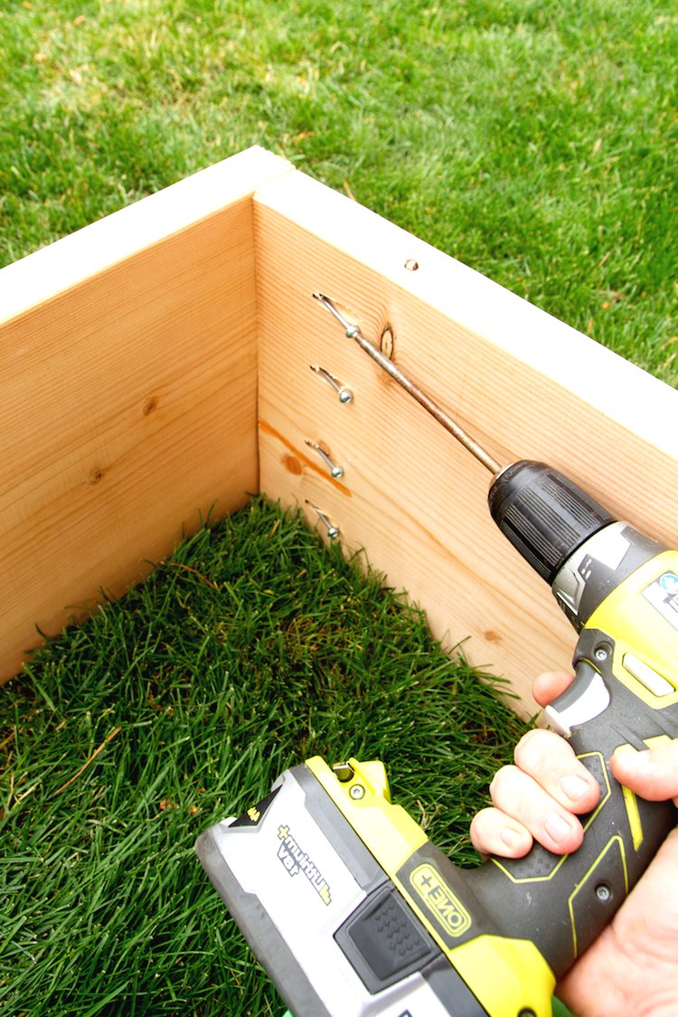 Облагораживаем участок - фото 6