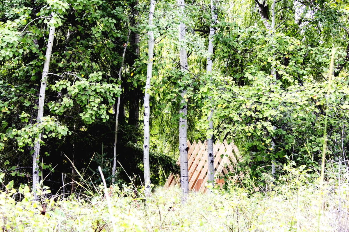 Необычный лесной домик - фото 4