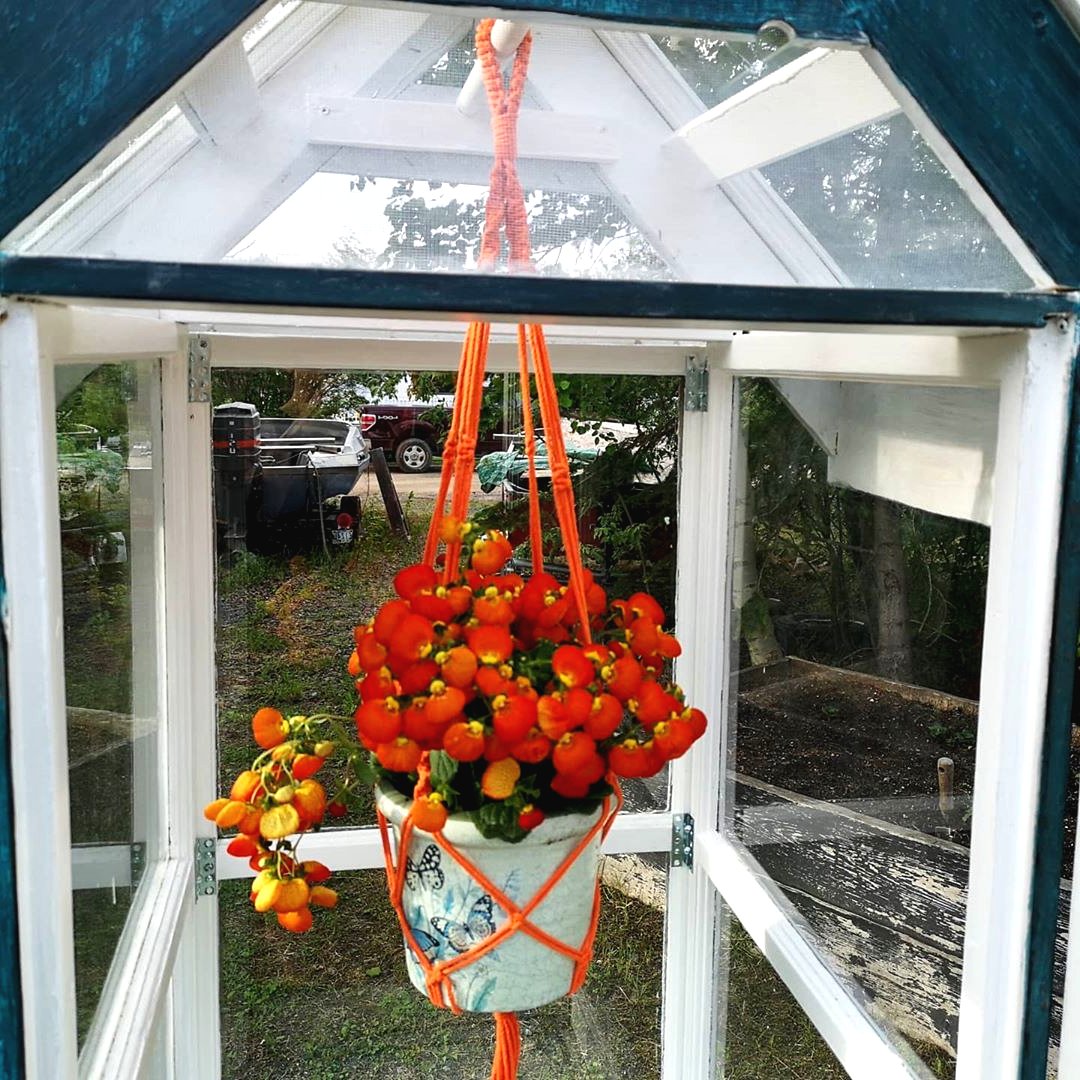 Мини теплица для улицы из оконных рам для комнатных цветов - фото 5