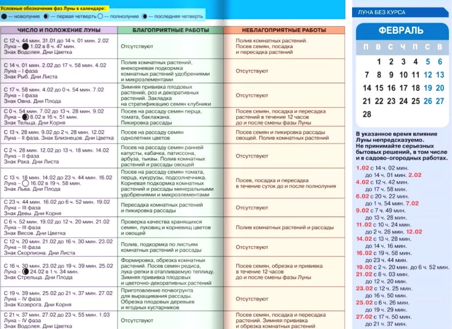 Лунный календарь посадок на февраль 2022 года. Идея для дачи - Фазенда