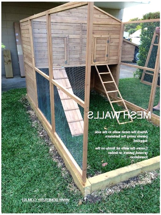 Курятник своими руками на 10 кур с выгулом - фото 8
