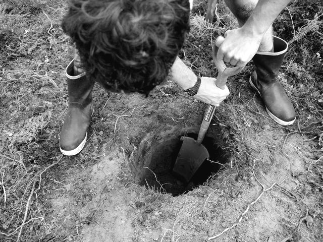 Каркасный дом обшитый панелями осб - фото 2