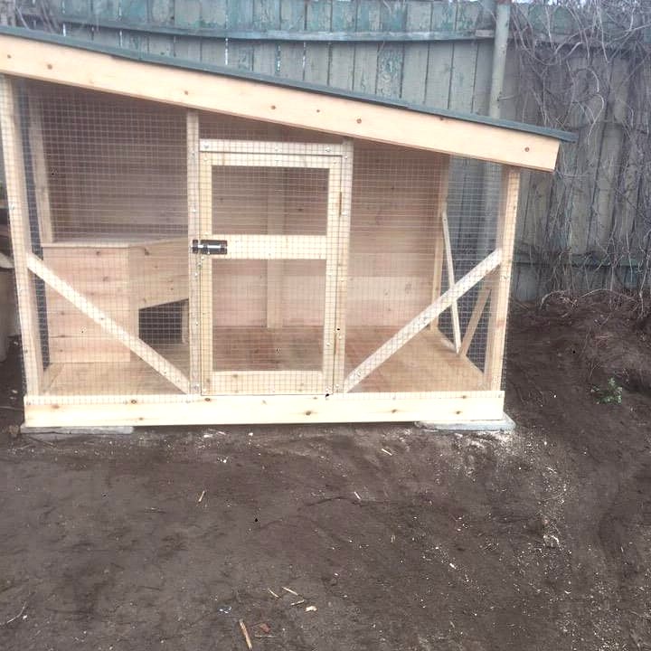 Необычные будки для собаки - фото 24