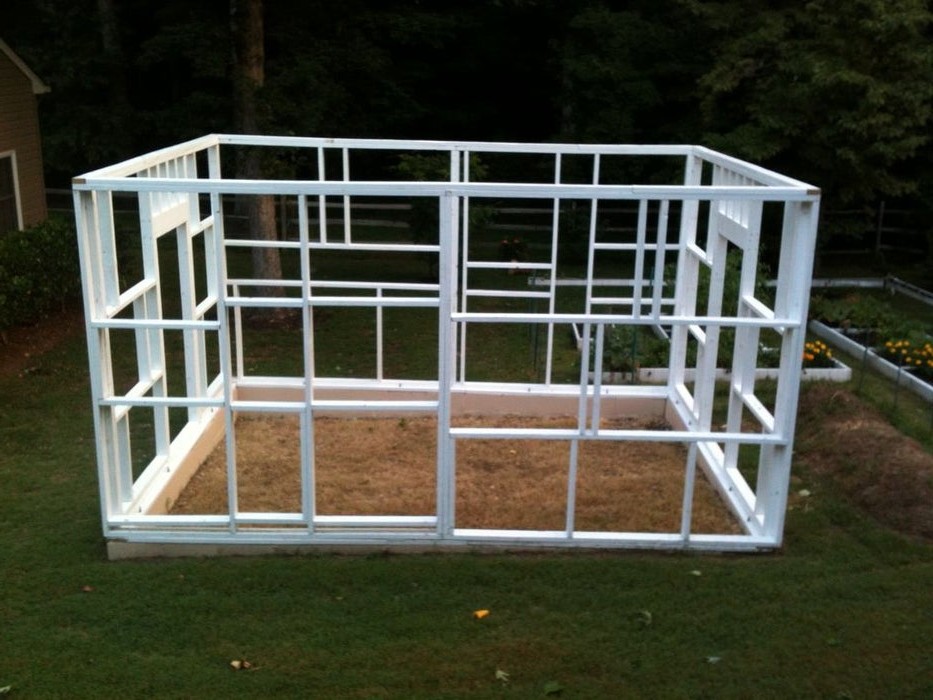 Оранжерея - фото 11