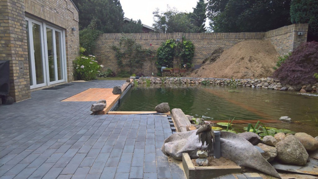 Бассейн + пруд - фото 13