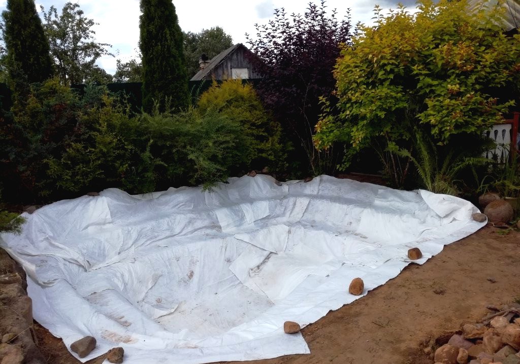 Пруд на дачном участке - фото 3