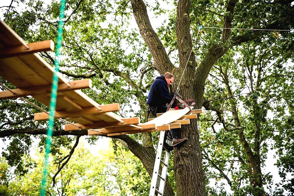 Оригинальный домик на дереве - фото 23