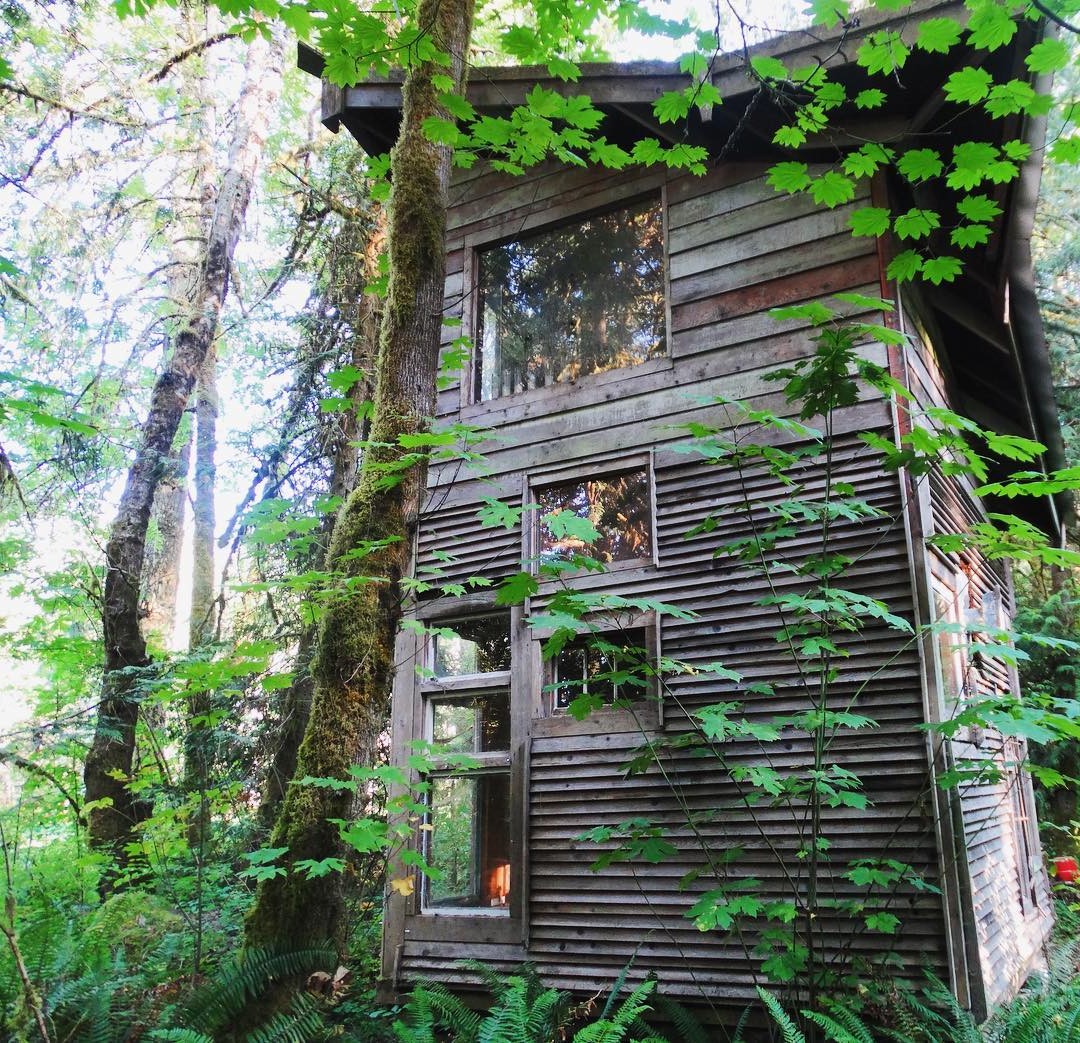 Дом с односкатной крышей - фото 6