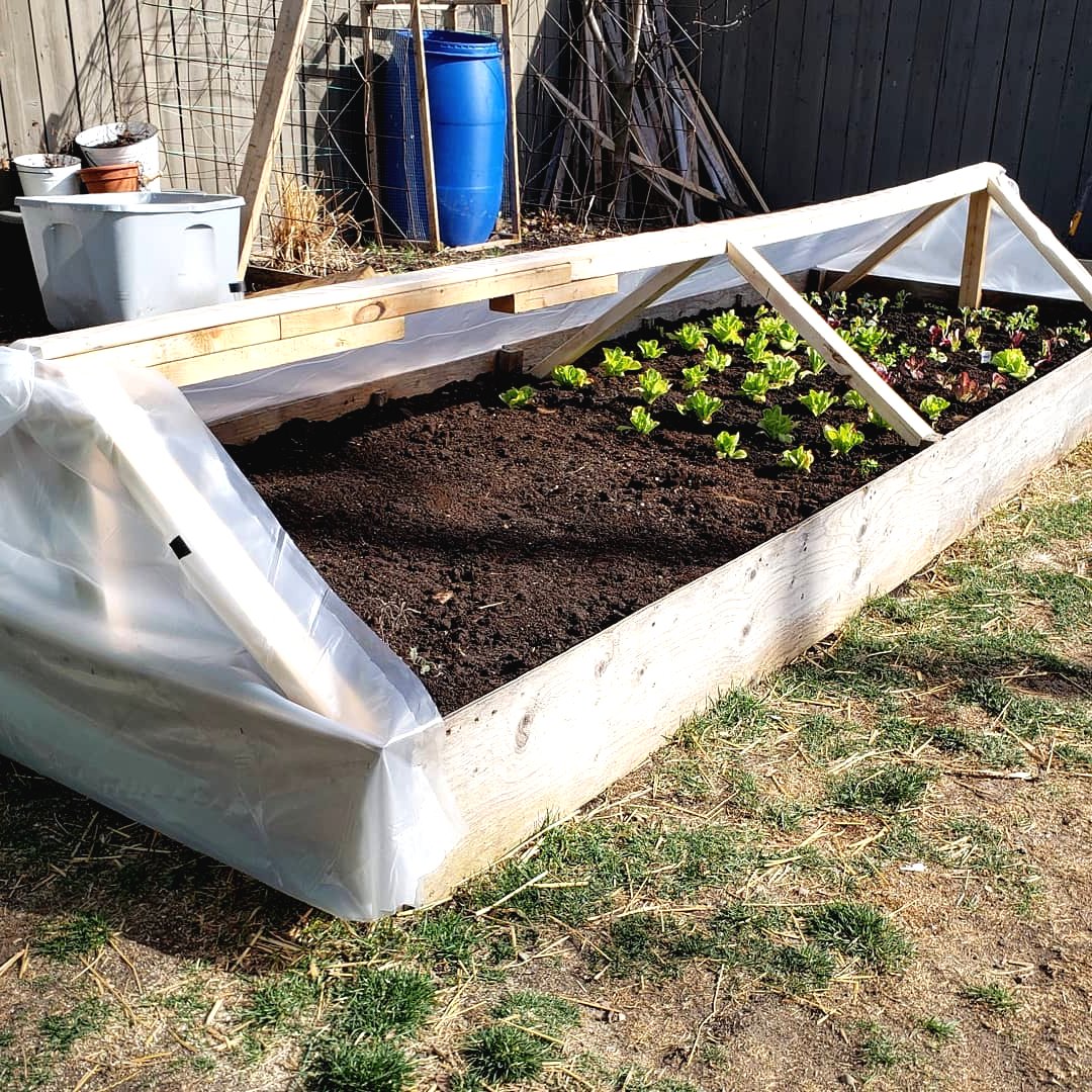 Парник своими руками - фото 2