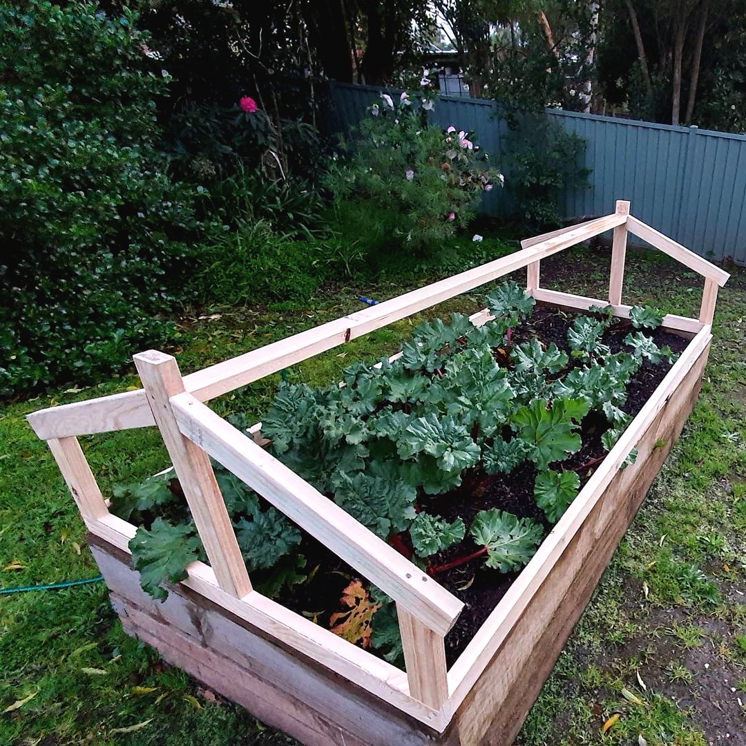 Высока грядка с защитой от улиток - фото 5