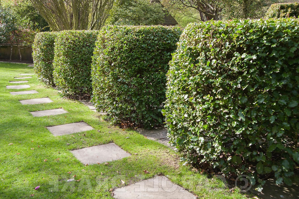 Йоркские ворота - дизайн сада - фото 11