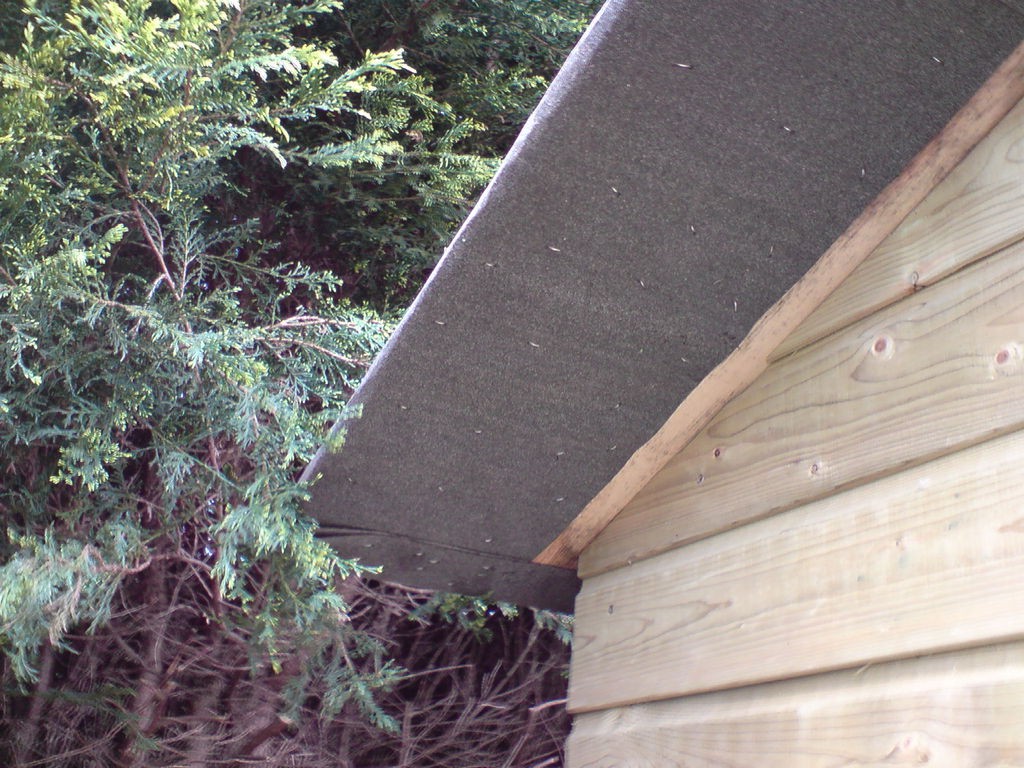 Обрешетка крыши под рубероид. Кровля рубероидом. Крыша под рубероидом. Кровля сарая. Крыша из руберуберойда.