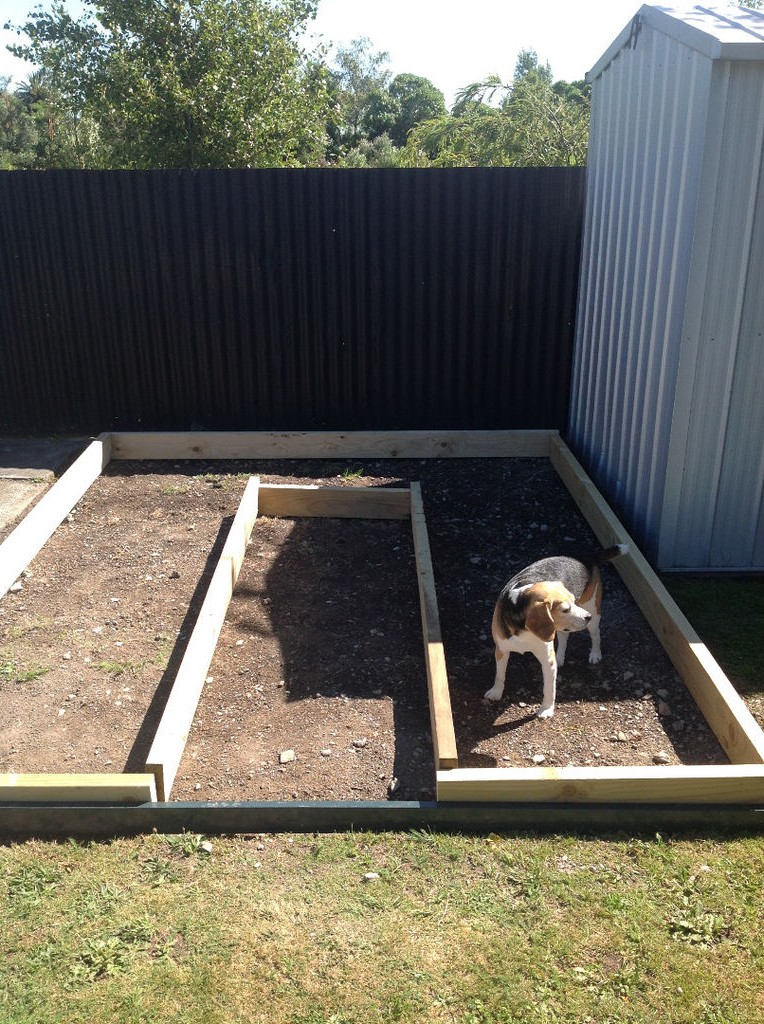 Маленькая теплица - фото 3