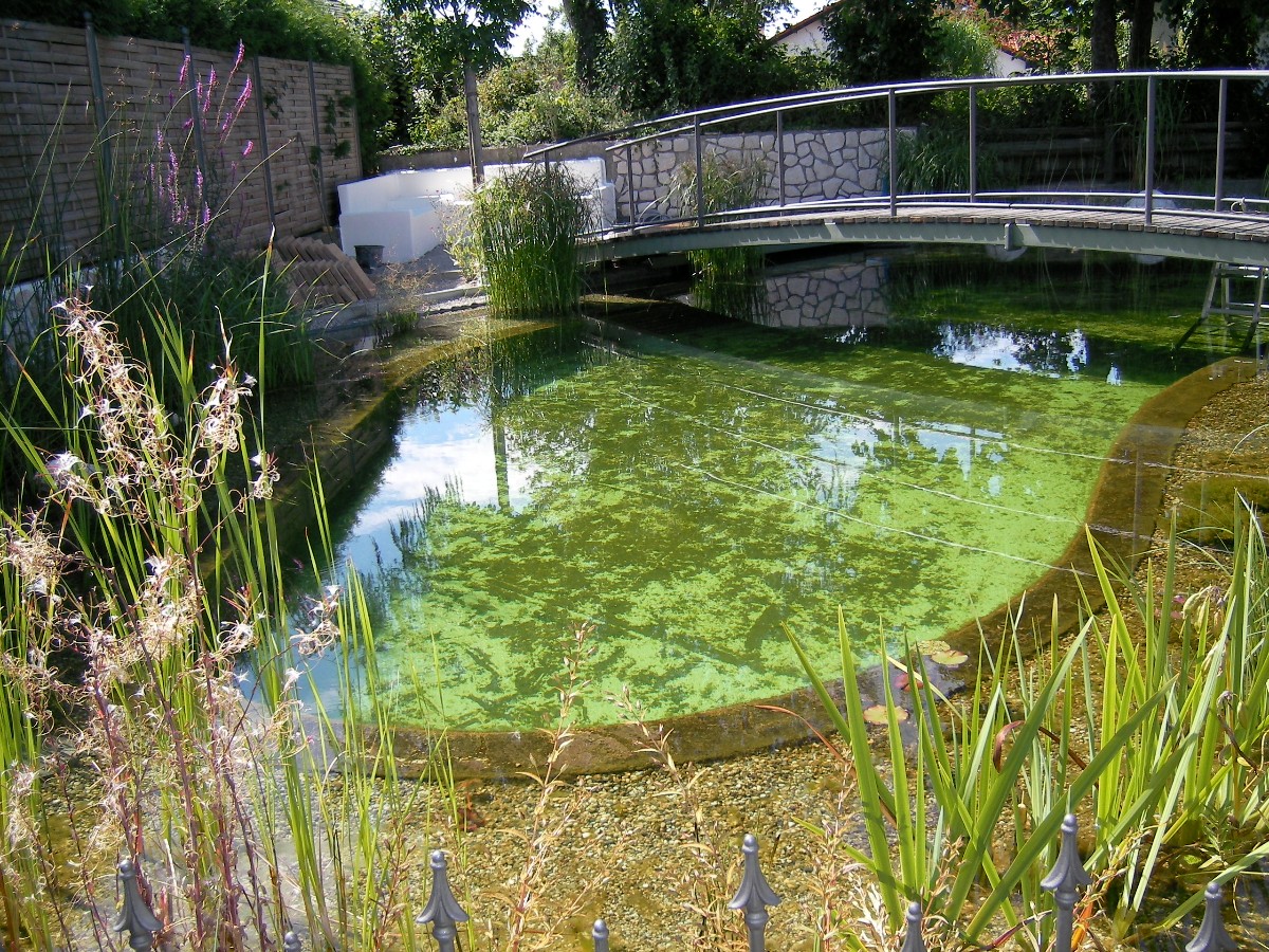 Пруд с мостом через него - фото 18