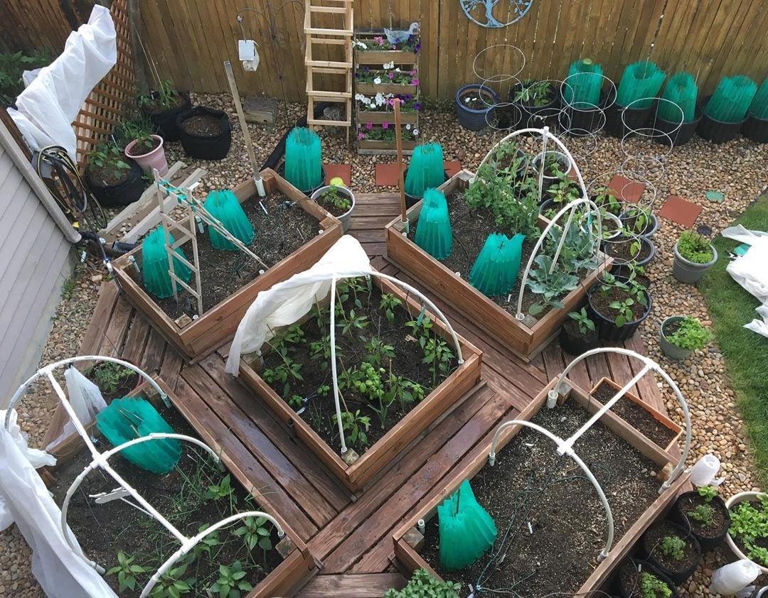 Планировка рассады - фото 6