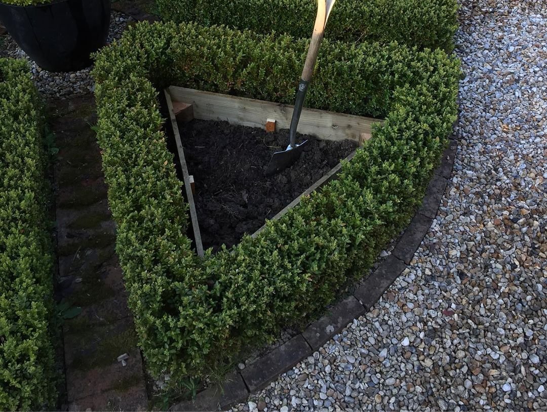 Интересный вариант расположения грядок - фото 4