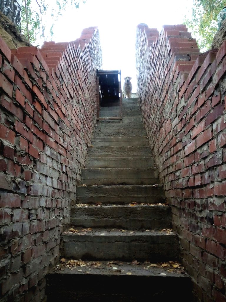 Необычный погреб из кирпича в 7 кв. м - фото 17