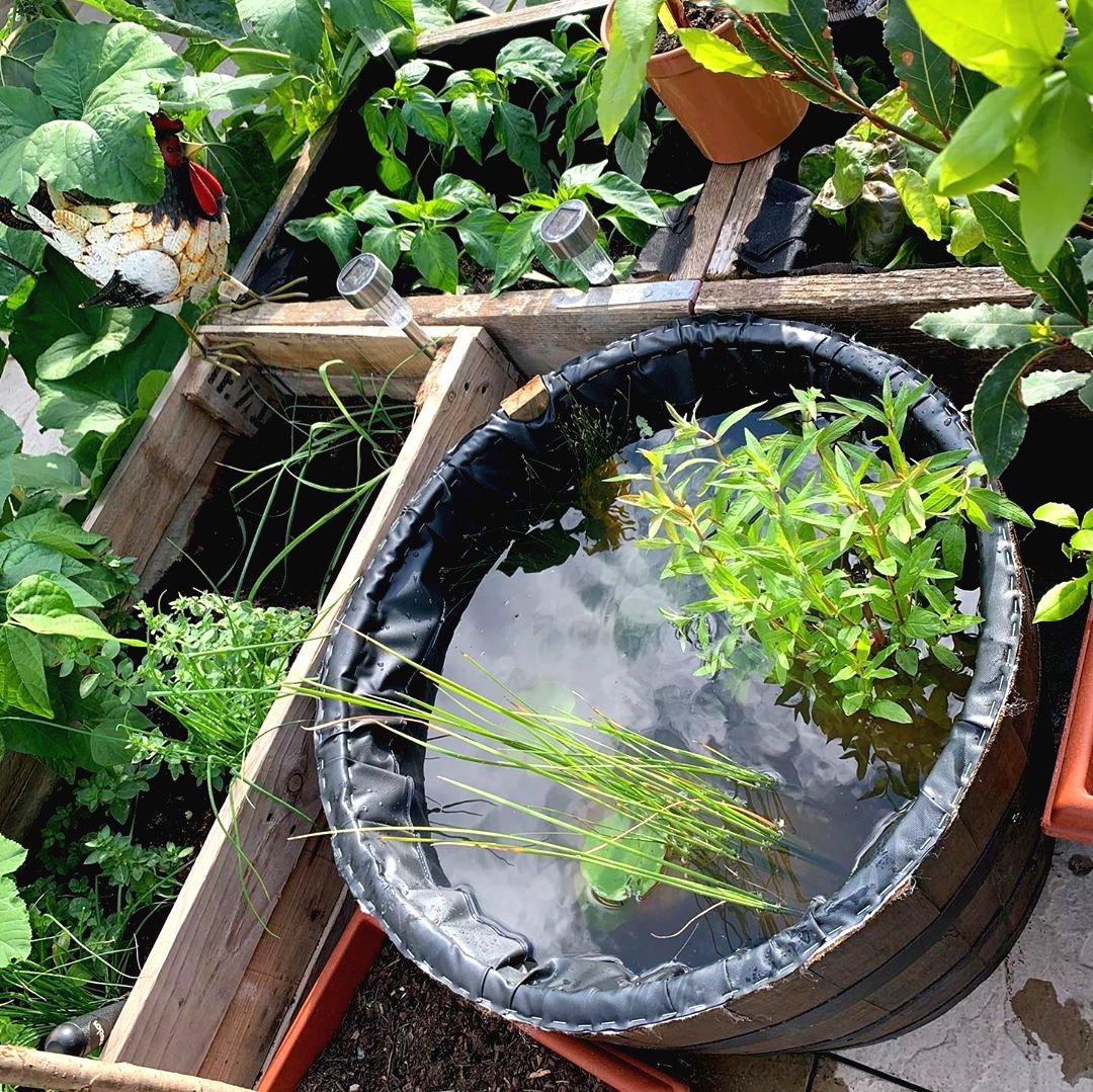 Мини пруд на даче своими руками - фото 7