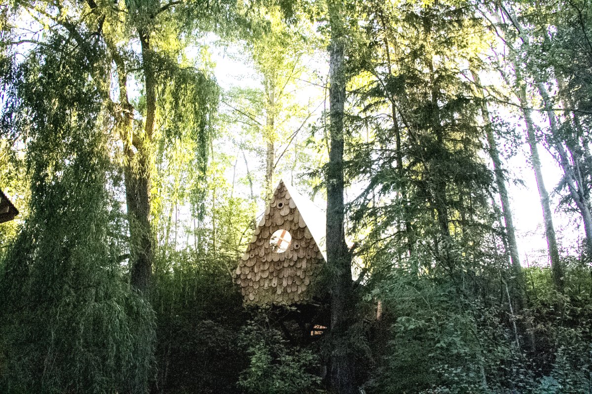 A-frame в лесу. Лес дом для птиц. Как быстро построить Лесной домик.