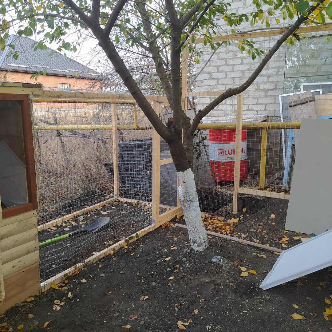 Курятник - фото 9