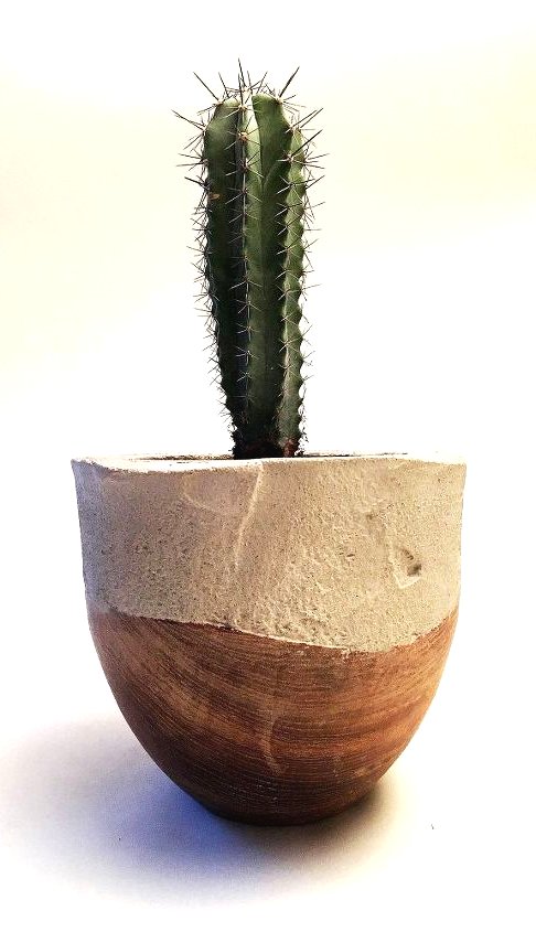 Оригинальный горшок из дерева и бетона - фото 11