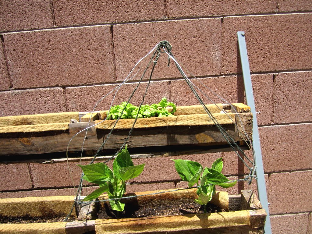 Вертикальный сад из поддона - фото 9