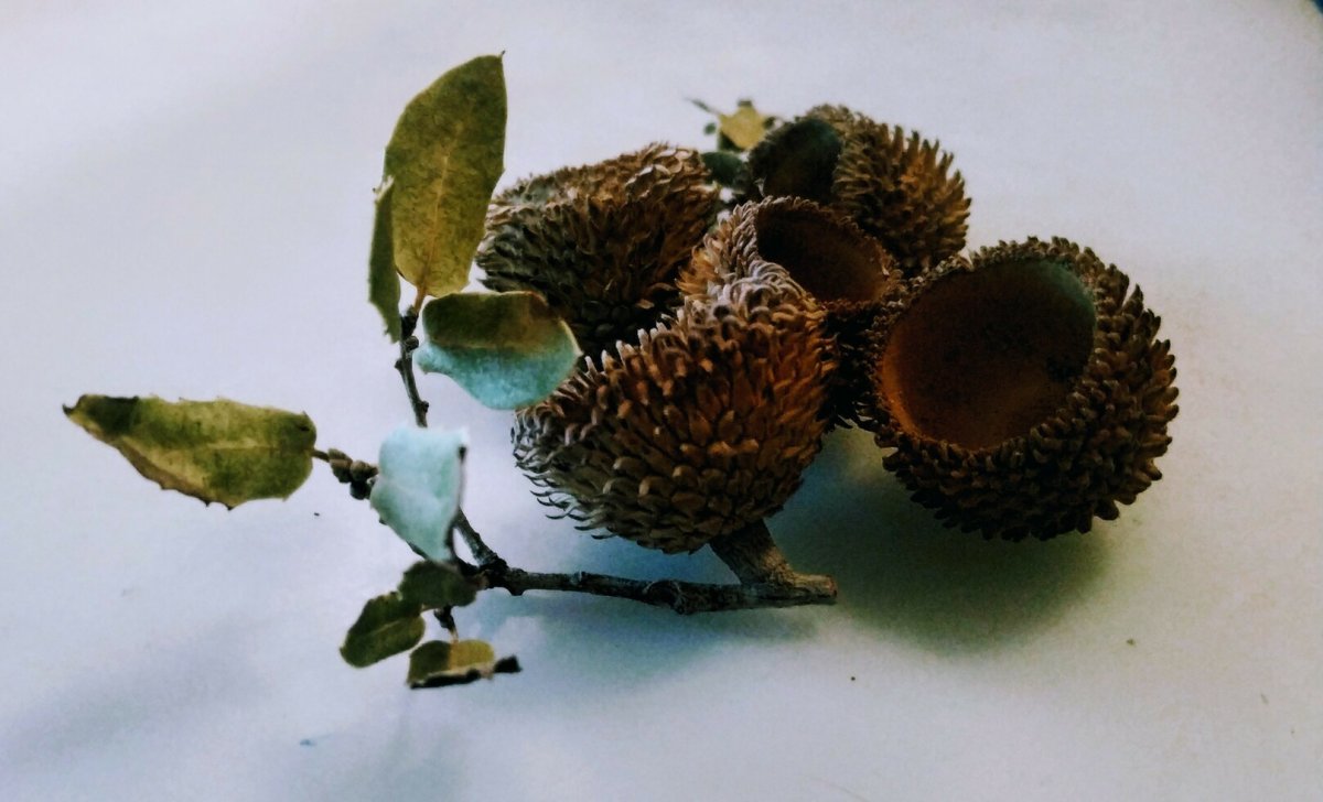 Гирлянда из светодиодов своими руками - фото 2