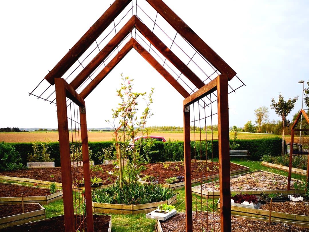 Интересное расположение грядок на участке - фото 6