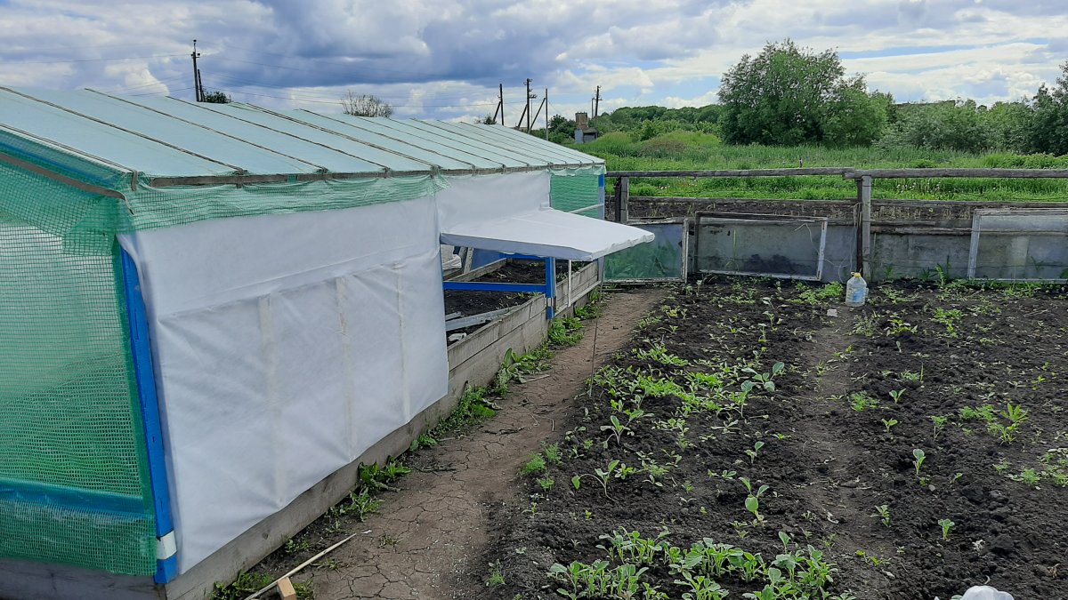 Парник - фото 4