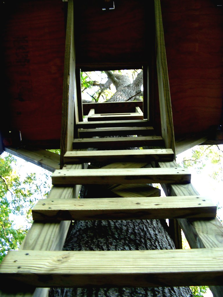 Открытая терраса на дереве - фото 4