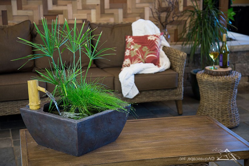 Мини пруд - фото 6