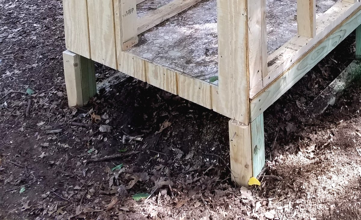 Как построить курятник своими руками? - фото 2