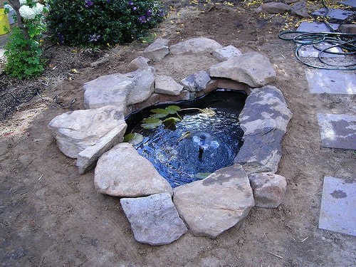 Садовый пруд - фото 6