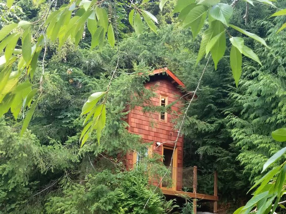 Домик на дереве - фото 14