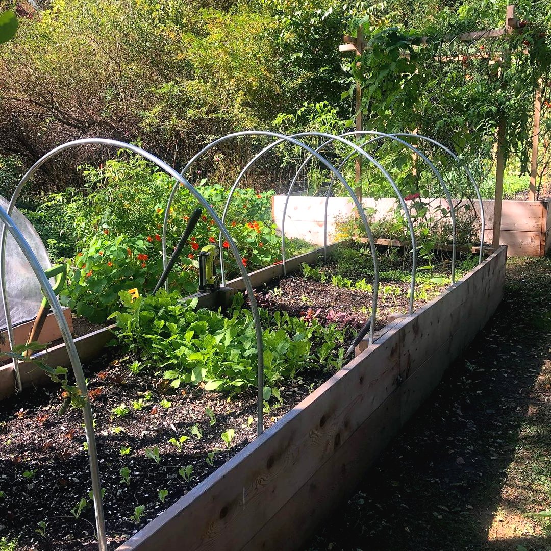 Парник из дерева и пластиковых труб. - фото 4