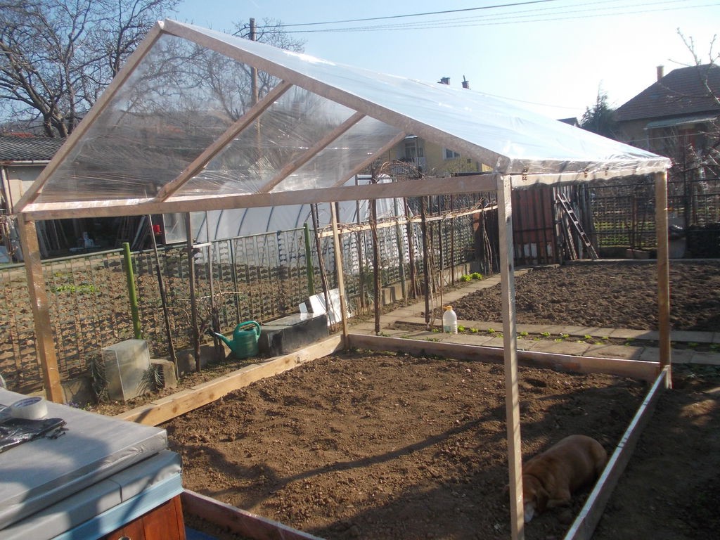 Теплица из пищевой - пленки - фото 4