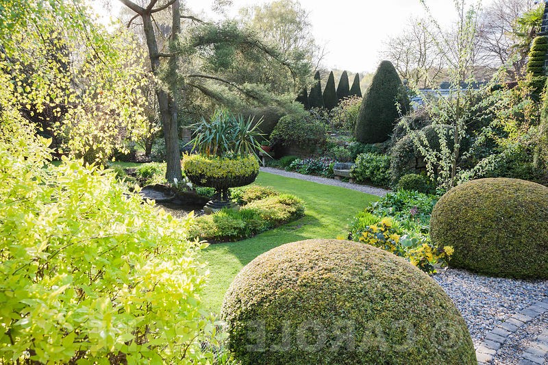 Йоркские ворота - дизайн сада - фото 20